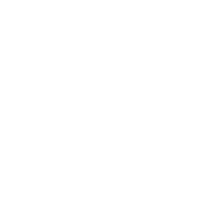 Carhartt vintage